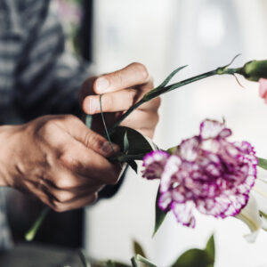 Cómo cuidar las flores compradas en una floristería: Guía completa